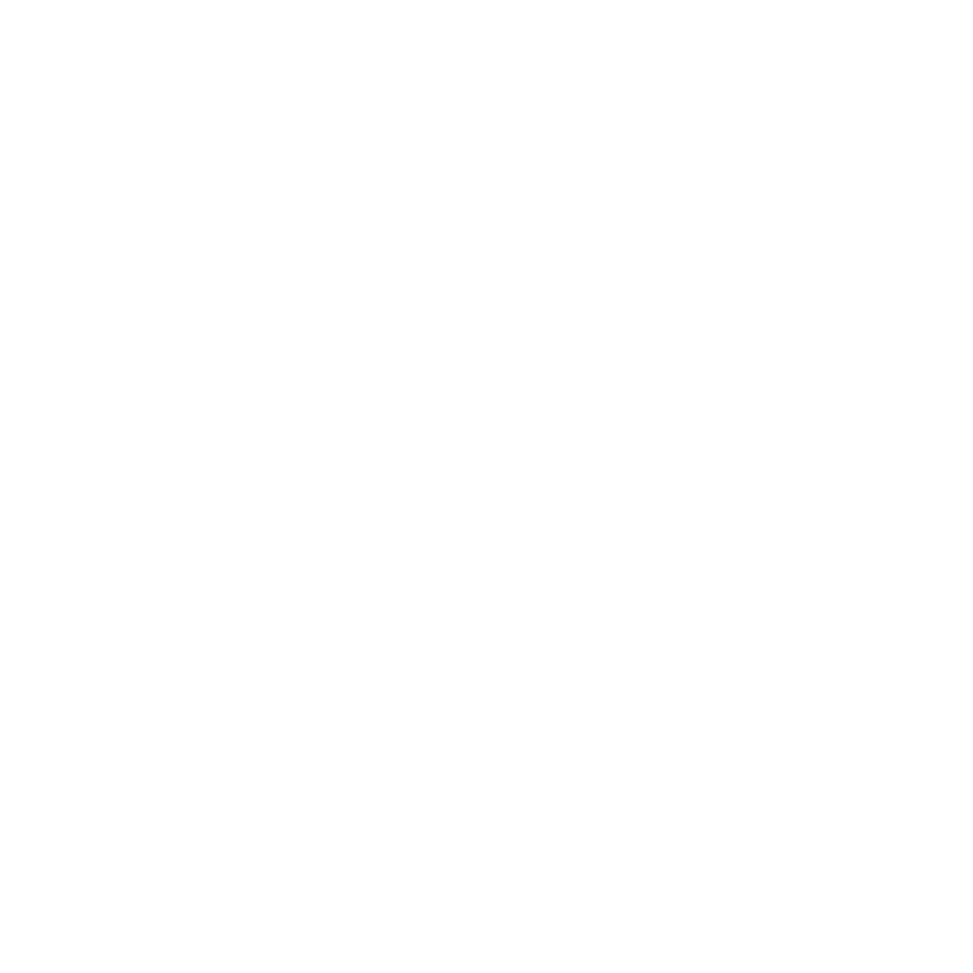 HS Financeira
