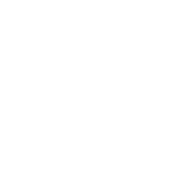 vbet